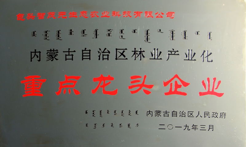 �֘I���^��I