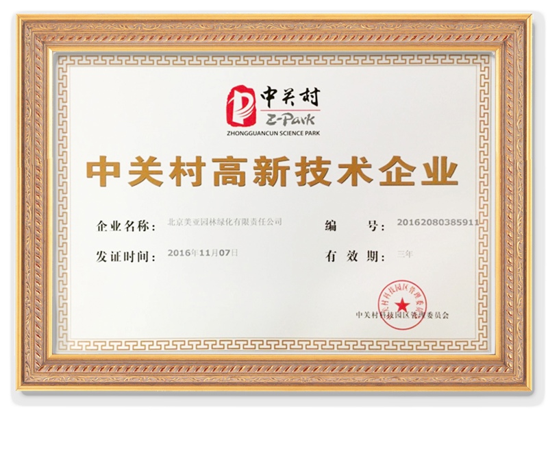 �������¼��g��I