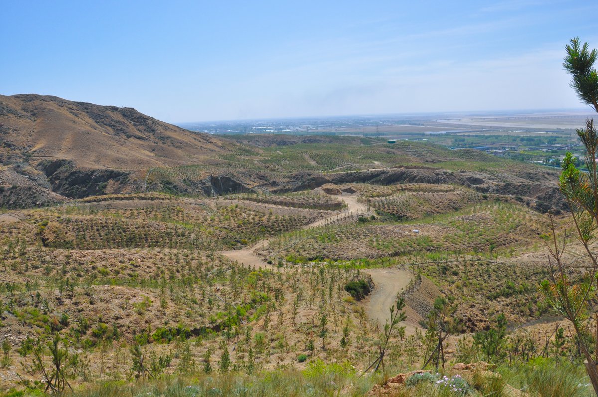 G6高速生態環境綜合治理續建工程