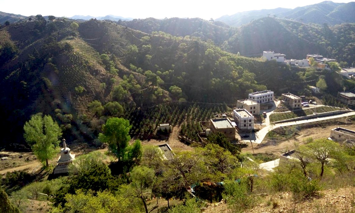 包頭市石拐區綠化工程