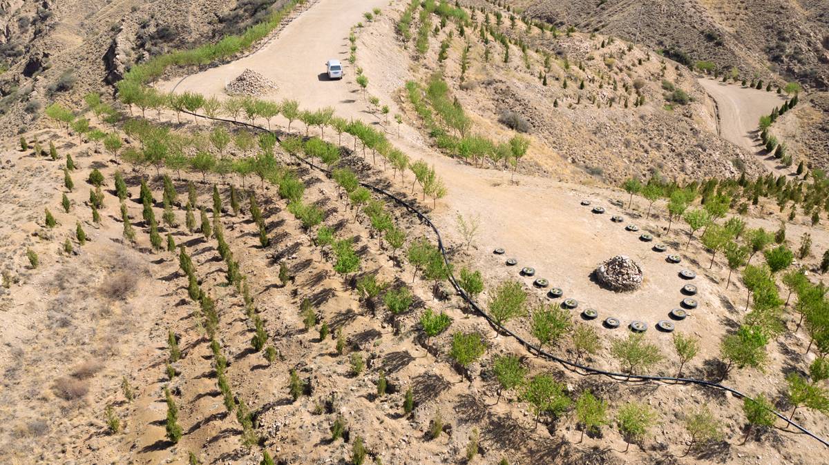 高速出口生態環境綜合治理續建工程